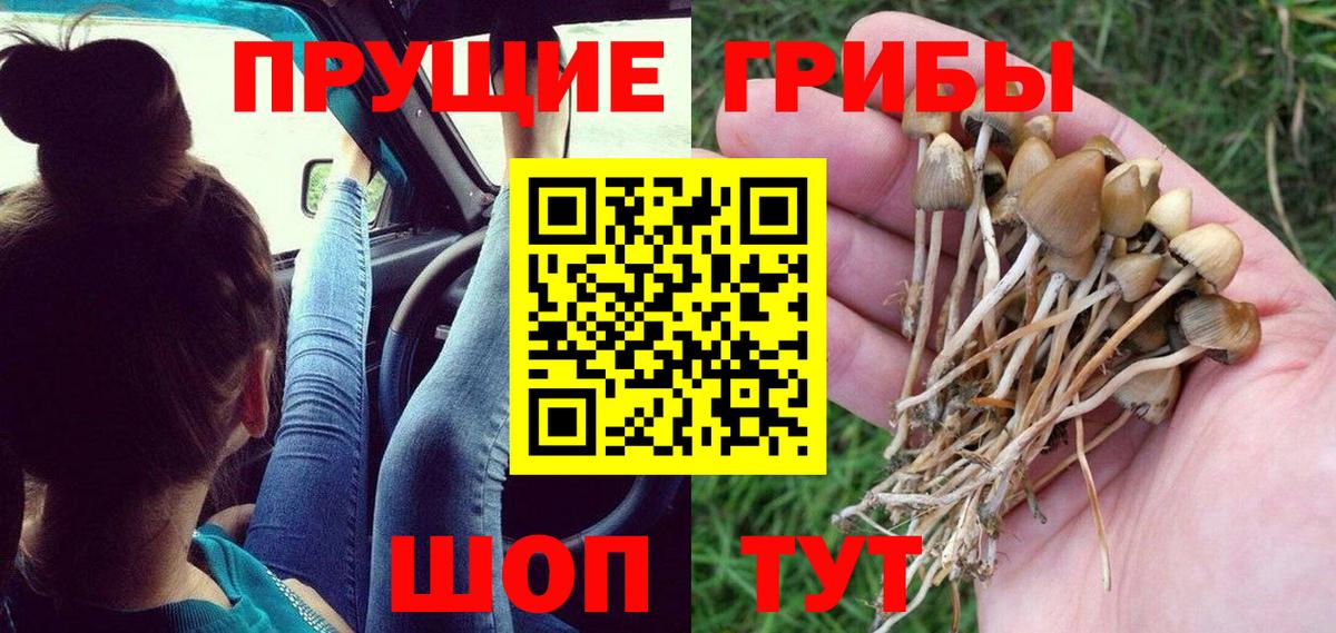Псилоцибиновые грибы MAGIC MUSHROOMS Электросталь